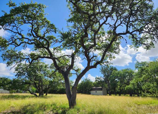 Property at 11360 Fm 32, Fischer, TX 78623