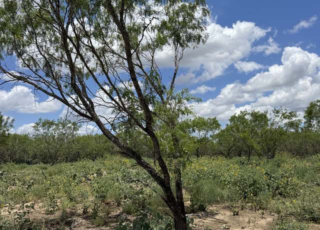 Property at 04 Windmill Ranchettes CR 329, Jourdanton, TX 78064