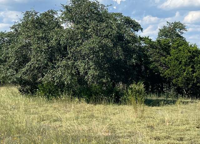 Property at 317 Bosque Rdg, Spring Branch, TX 78070