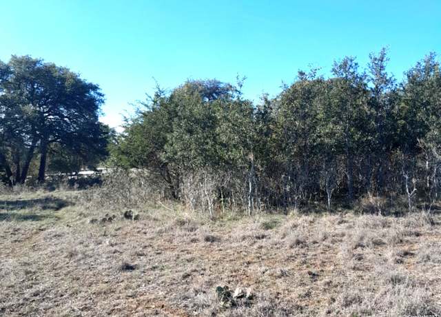 Property at 125 Antonio Perez, Blanco, TX 78606