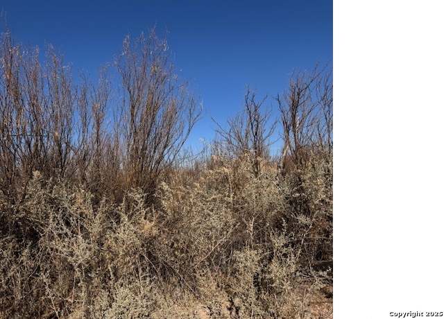 Property at 0 Fm170, TX 79845