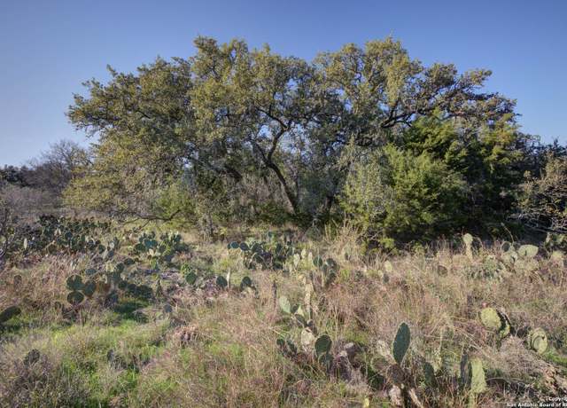 Property at 132 Maple Ter, New Braunfels, TX 78132