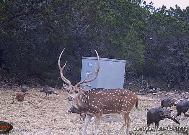 Property at TBD RM 334, Brackettville, TX 78832, 1 bed