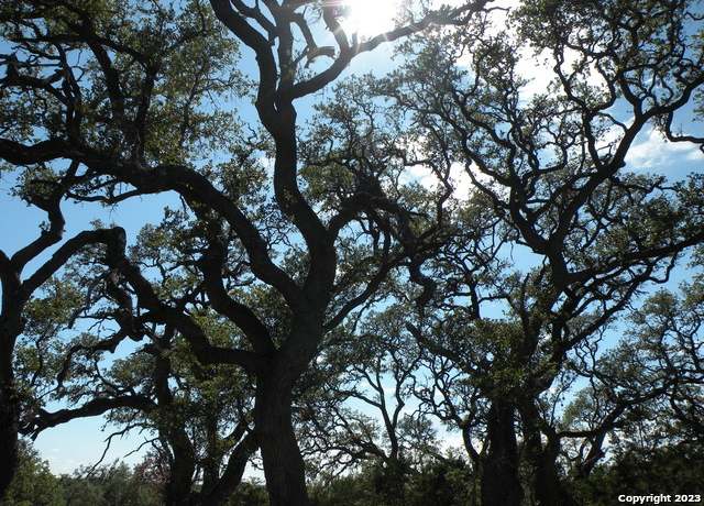 Property at 722 Blaze Ridge Blvd, Bulverde, TX 78163-2599