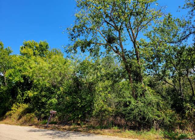 Property at TBD Dale Ln, Dale, TX 78616