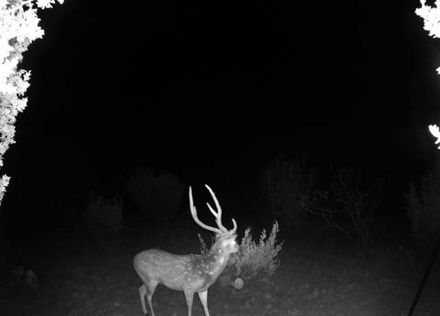 Property at 0000 Oak Bend Ranch, Lot 34, Rocksprings, TX 78880