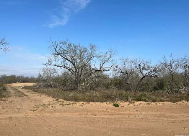 Property at 2471 CR 124, Floresville, TX 78114