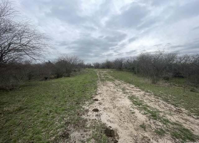 Property at 5073 S FM 81, Runge, TX 78151