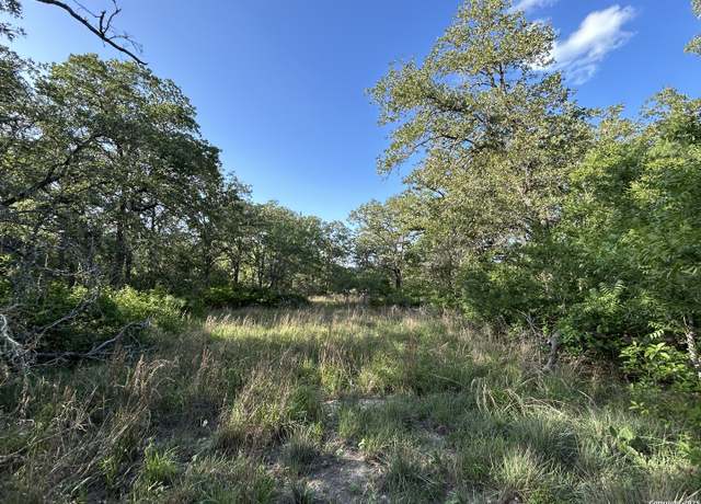 Property at 175 Smith, La Vernia, TX 78121