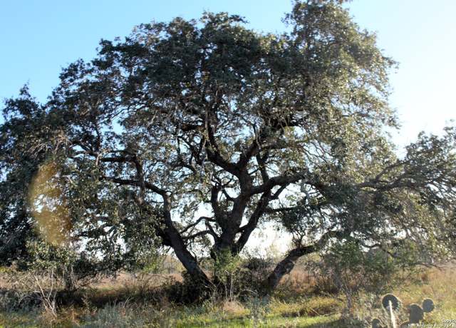 Property at TBD PR Lexi Ln, Poteet, TX 78065