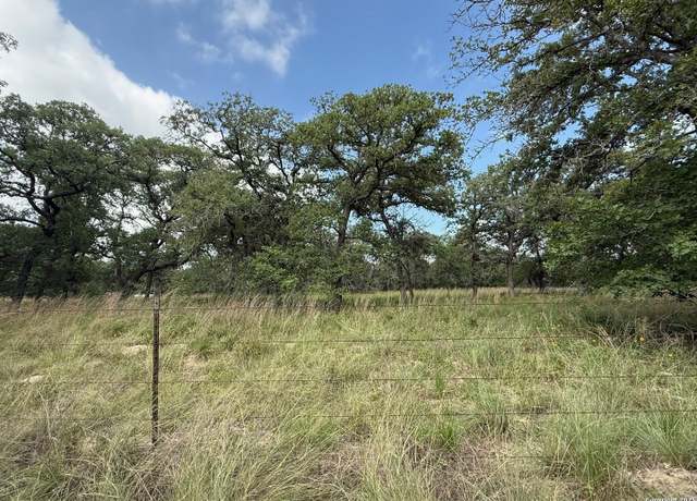 Property at 297 Littlehorn, Stockdale, TX 78160