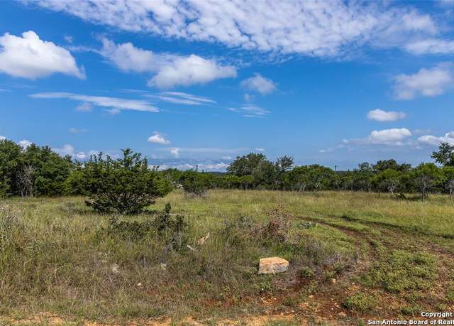 Property at 223 Peter Kleid, Blanco, TX 78606