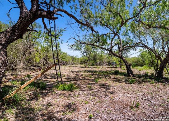 Property at 00 Cr 175, Sandia, TX 78283