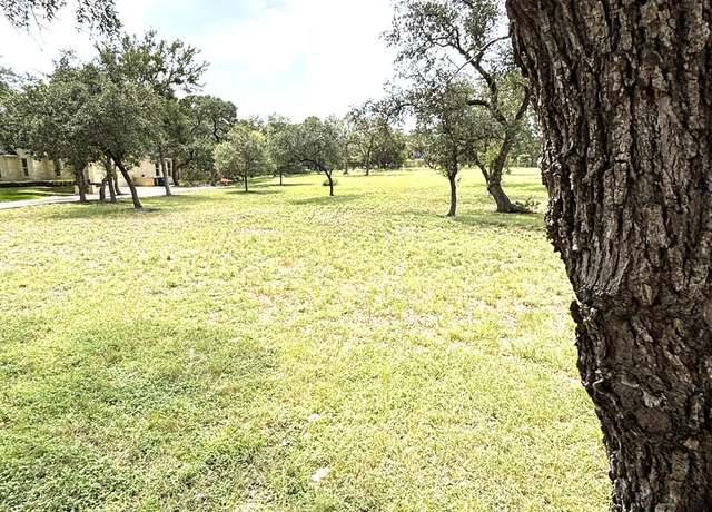 Property at 855 Meridian, New Braunfels, TX 78132