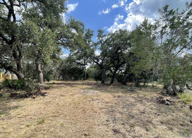 Property at 161 Sunnyside, Spring Branch, TX 78070