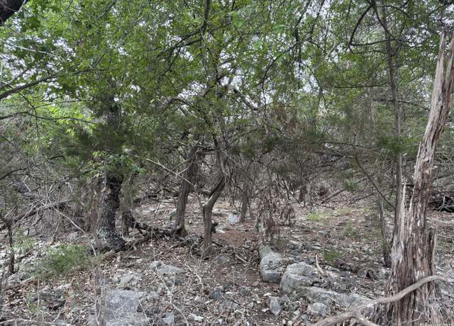 Property at 1424 Stahlman, New Braunfels, TX 78132