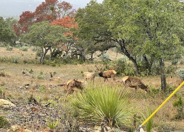 Property at LOT 54 Blackbuck Trl, Pipe Creek, TX 78063