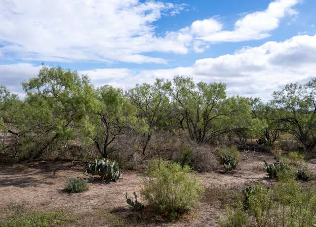 Property at 0 PR 2743, Moore, TX 78057