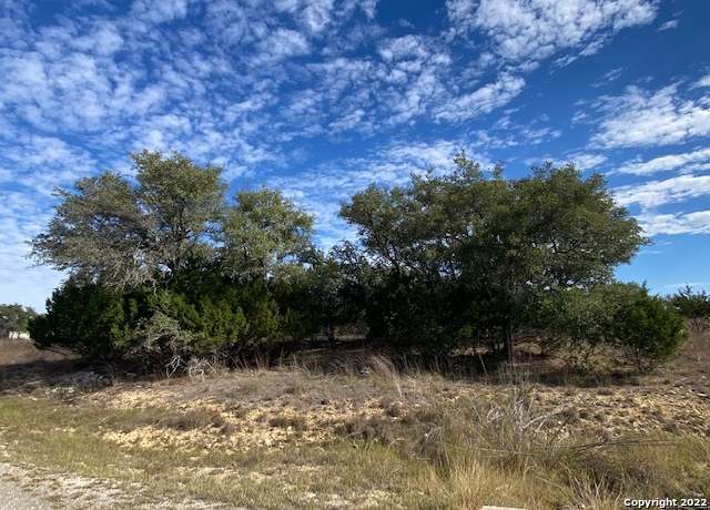 Property at 0 John Price, Blanco, TX 78133