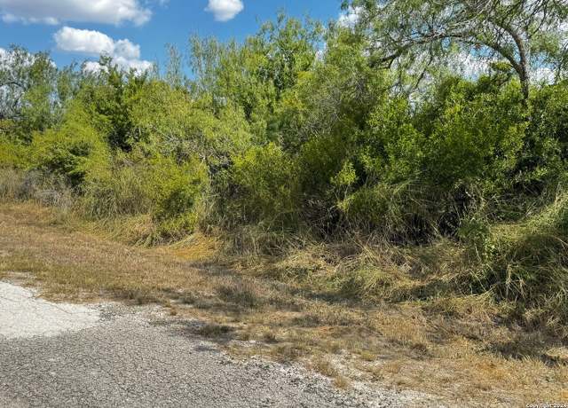 Property at 112 Clearview Cir, Sandia, TX 78383