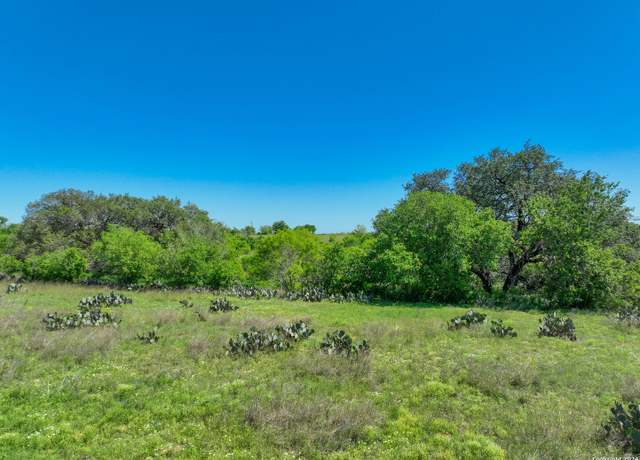 Property at 434 W Tank Holw, Poteet, TX 78065