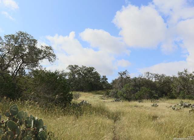 Property at 0 PR 2491 Hwy 173 S, Hondo, TX 78861