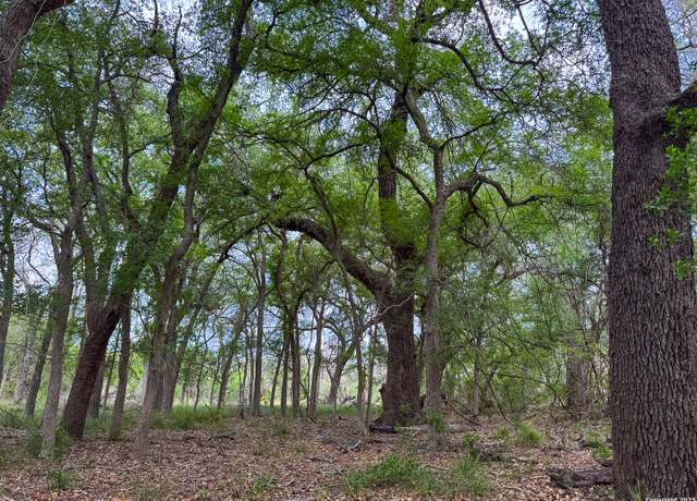 Property at 000 Fm 1581, Dilley, TX 78017