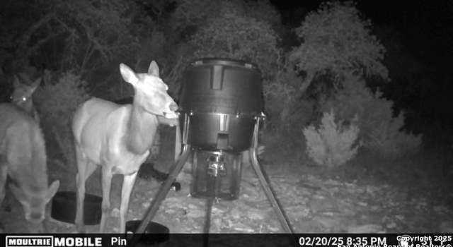 Photo of TBD Sd31500, Rocksprings, TX 78880