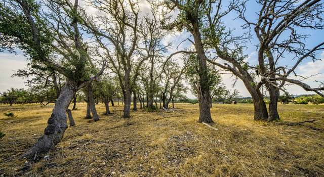 Photo of 436 Stevens Ranch Rd, Harper, TX 78631