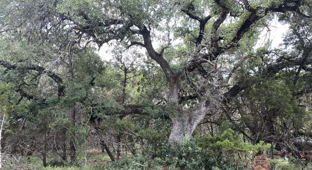 Photo of 303 Windy Hl, Spring Branch, TX 78070