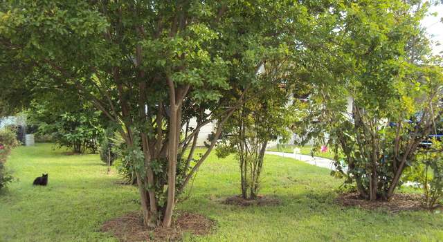 Photo of 558 Thorain Blvd, San Antonio, TX 78212-1354