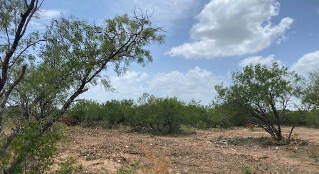 Photo of LOTS 2831-2833 Ave. J, Christine, TX 78012