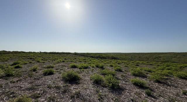 Photo of TRACT 34 Cr1515, Moore, TX 78057