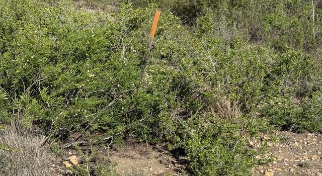 Photo of TRACT 34 Cr1515, Moore, TX 78057