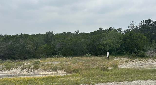 Photo of 223 Freedom St, Fischer, TX 78623