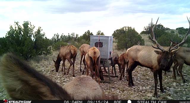Photo of 241 Dead Mans Cyn, NM 88351