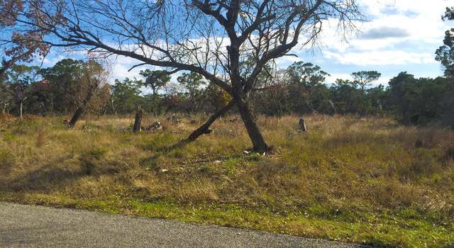 Photo of LOT 42 Eagle Rock Rd, Spring Branch, TX 78070