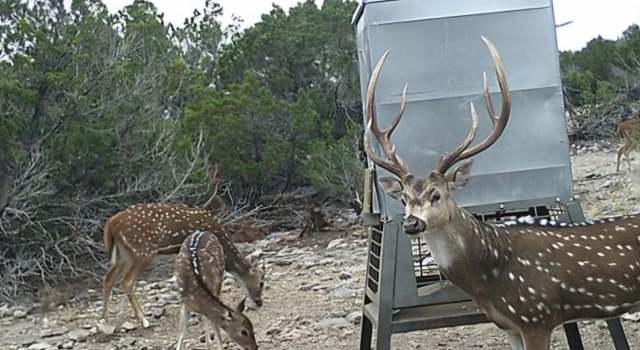 Photo of TBD West Nueces Ranch, Lot 21, Rocksprings, TX 78880