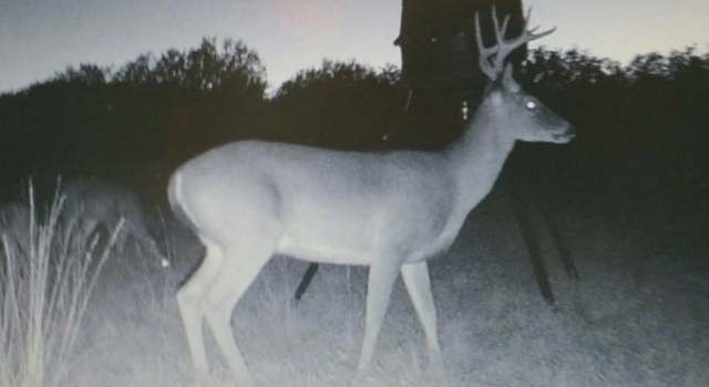 Photo of 0 SD 80300, Rocksprings, TX 78880
