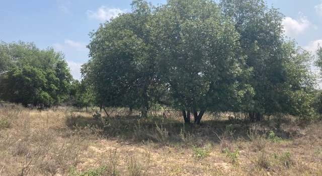 Photo of 111 Whispering Oaks Dr, Adkins, TX 78101