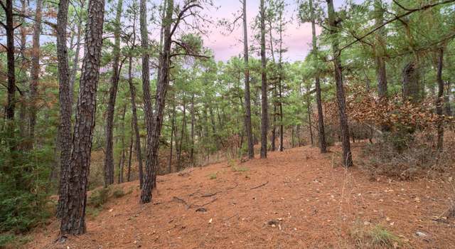 Photo of 113 Post Oak Ct, Bastrop, TX 78602