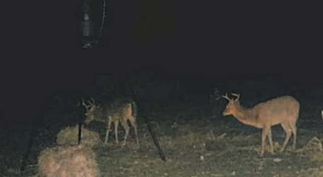 Photo of 113 CR 429b, Uvalde, TX 78801