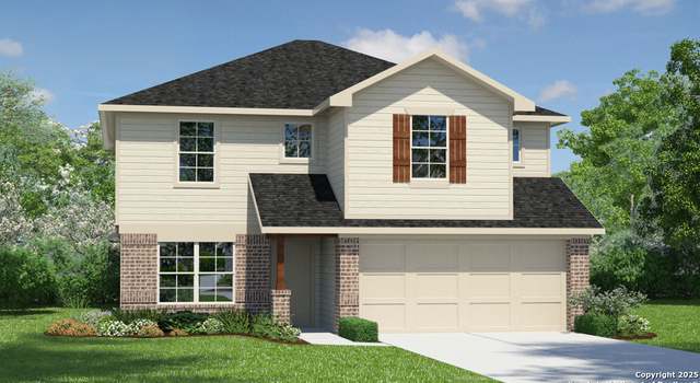 Photo of 227 Squacco Heron, San Antonio, TX 78253
