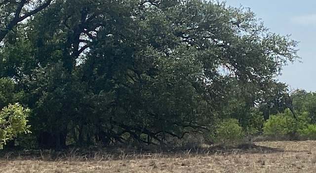 Photo of 000 Old Devine Rd, Poteet, TX 78065