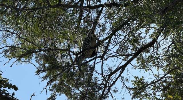 Photo of 00 High Lonesome Rd, Comstock, TX 78837