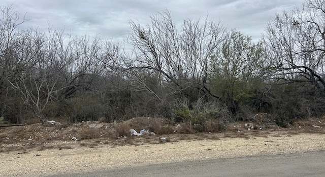 Photo of 327 E Evlyn St, La Pryor, TX 78872