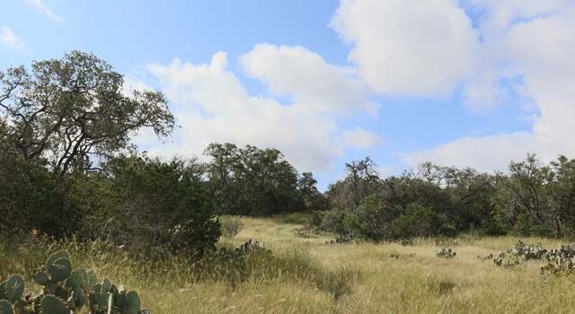 Photo of 0 PR 2491 Hwy 173 S, Hondo, TX 78861