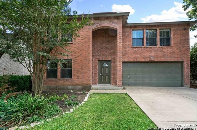 202 Cactus Street San Antonio Tx - Cactus flower is an ...