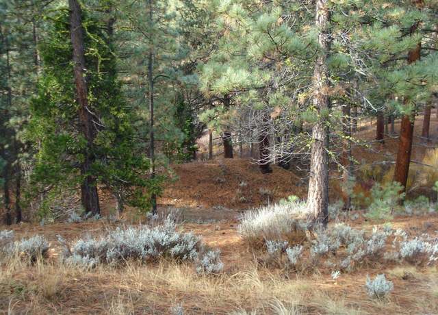 Property at 199 Big Grizzly Rd, Portola, CA 96122