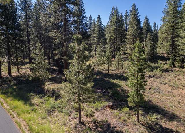 Property at 15375 Kent Dr, Truckee, CA 96161